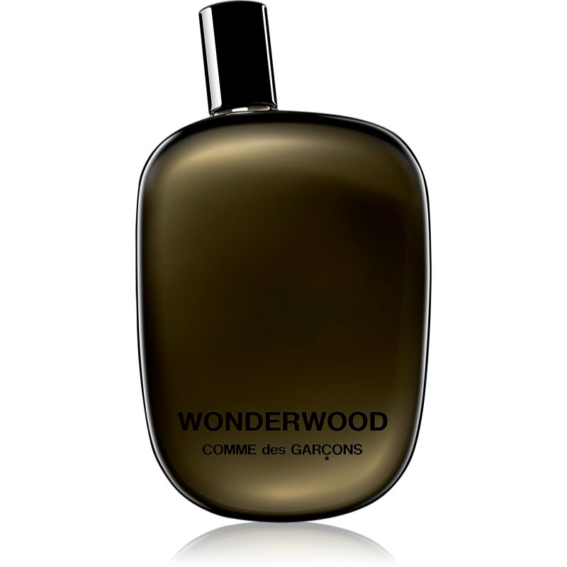 Comme des Garçons Wonderwood parfumovaná voda pre mužov 100 ml