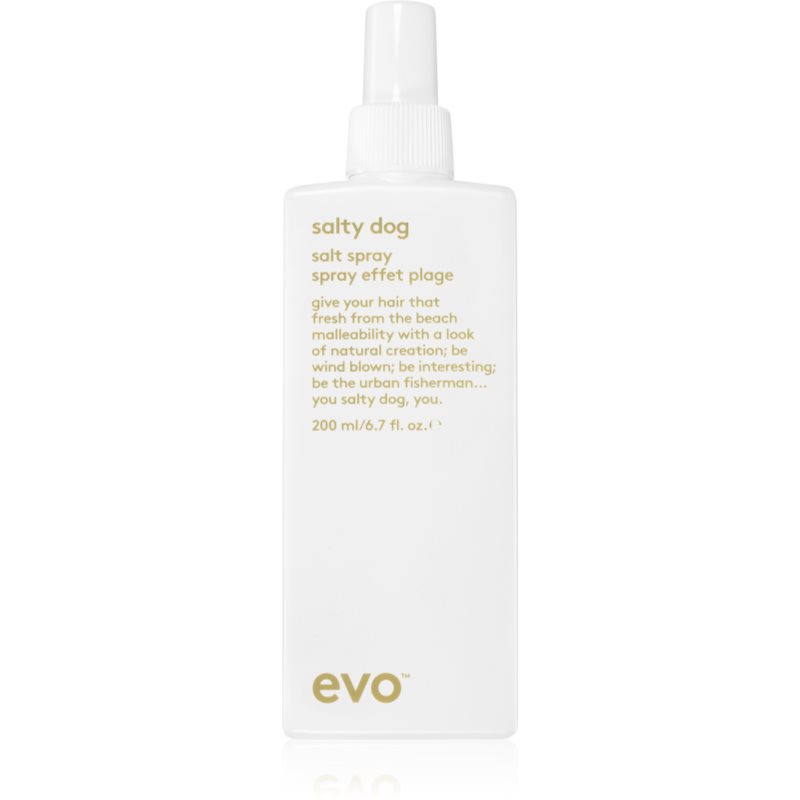EVO Style Salty Dog slaný sprej na vlasy 200 ml