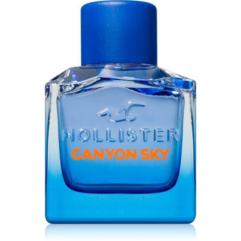Hollister Canyon Sky For Him toaletná voda pre mužov 100 ml