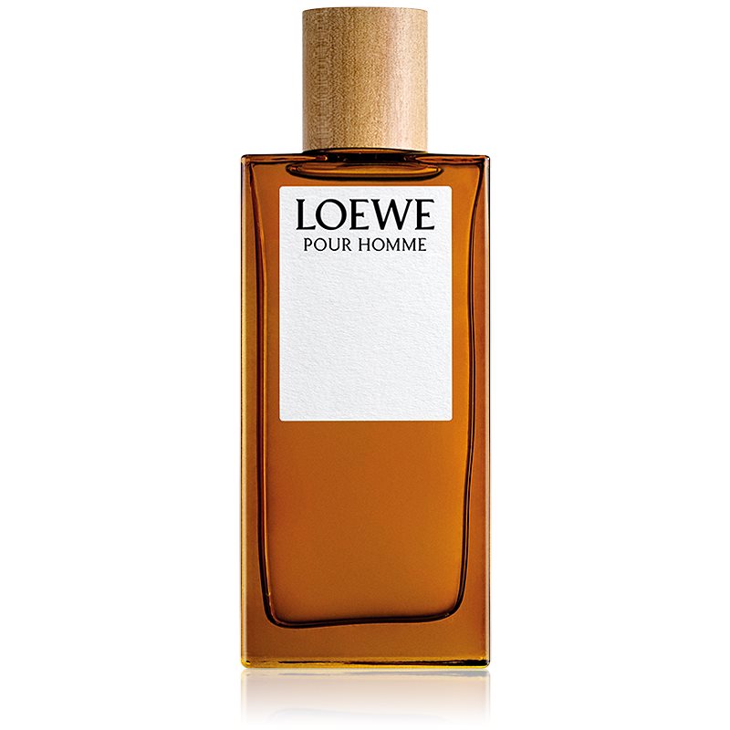 Loewe Loewe Pour Homme toaletná voda pre mužov 100 ml